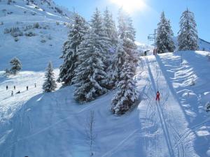 a group of people skiing down a snow covered slope at Résidence Artigalas - Appartement avec parking dans le centre de Barèges MAE-8584 in Barèges