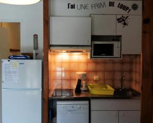 Virtuve vai virtuves zona naktsmītnē Résidence Combettes - Studio pour 4 Personnes 34