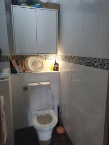 La salle de bains est pourvue de toilettes blanches et d'une armoire. dans l'établissement PARIS 16eme -PSG Stade, à Paris