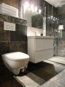ein Bad mit einem WC, einem Waschbecken und einer Dusche in der Unterkunft Résidence Les Fermes Du Planet - Pièces 74 in Valloire