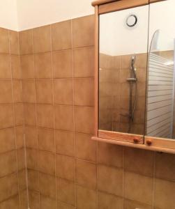 W łazience znajduje się prysznic z lustrem. w obiekcie Résidence Plan Soleil - Studio pour 4 Personnes 64 w mieście Valloire