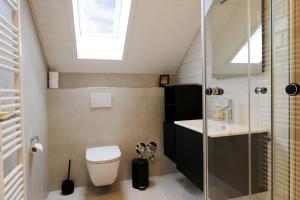 a bathroom with a toilet and a sink and a skylight at Ferienwohnung "Hygge" in Schluchsee in Schluchsee