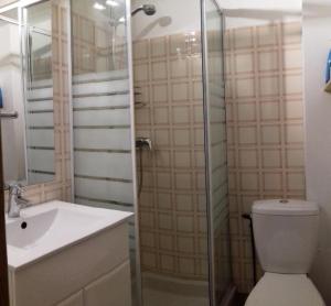 a bathroom with a shower and a toilet and a sink at Résidence Pre Malin - 2 Pièces pour 4 Personnes 84 in Valloire