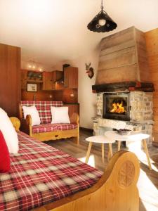 a living room with a bed and a fireplace at Résidence Les Fermes Du Planet - 4 Pièces pour 8 Personnes 94 in Valloire