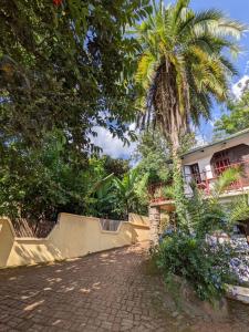 Κήπος έξω από το Steven and Dayness homestay