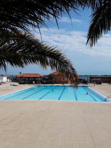 Bazén v ubytovaní Résidence Parc Et Avenue Dominica - 2 Pièces pour 4 Personnes 784 alebo v jeho blízkosti