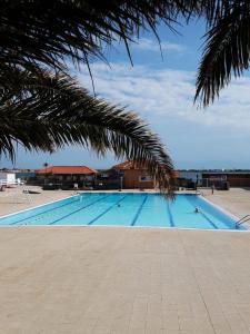duży basen z oceanem w tle w obiekcie Résidence Antigua - Appartement 2 pièces 4 couchages LE BARCARES MAE-5434 w mieście Le Barcarès