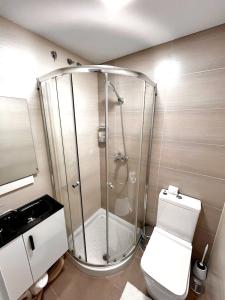 ein Bad mit einer Dusche und einem weißen WC in der Unterkunft Charming apartment in Cártama, 30 m² with terrace in Cártama + 18 Fotos