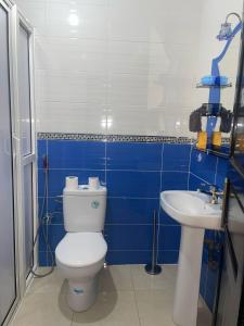 een badkamer met een toilet en een wastafel bij Dar Malaika in Oualidia