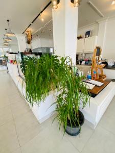 a restaurant with a counter with plants on it at Forget Me Not Boutique Bed & Breakfast Hua Hin in Hua Hin