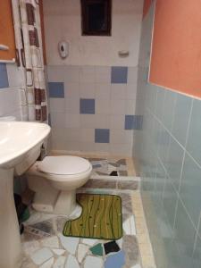 a bathroom with a toilet and a sink and a shower at Cabaña Campestre Bhumi in Granada