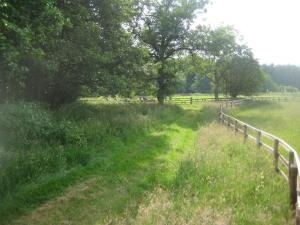 Imagen de la galería de Blackberry Lodge, en Kirkby Malzeard