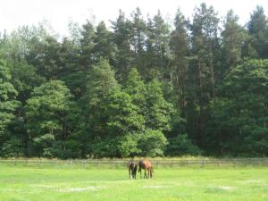 Imagen de la galería de Blackberry Lodge, en Kirkby Malzeard