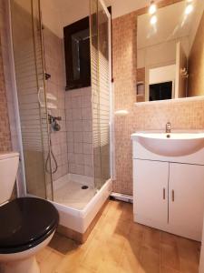 uma casa de banho com um WC, um lavatório e um chuveiro em Résidence MAISONS DE LA PLAGE - Maisons & Villas pour 6 Personnes 074 em Port Leucate