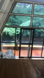 a view of a window in a room at Luxury cabin and cafe hutan pinus rahong in Palayangan