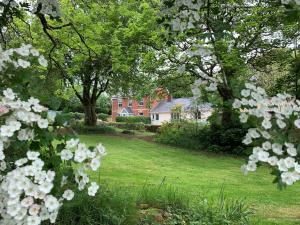 a house in a yard with white flowers at 5 Bed in Bude 79454 in Milton Damerel