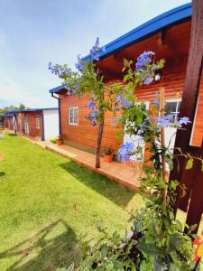 Cabaña de madera con terraza y flores azules en Cabañas Ema Luz & La Soñada en Gobernador Roca