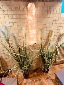 Fotografie z fotogalerie ubytování Hotel Restaurant Adler Stube v destinaci Münstertal