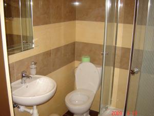 a bathroom with a sink and a toilet and a shower at Pokoje Gościnne Wejherowo in Wejherowo