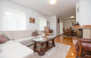 Posezení v ubytování Cozy Home In Gornji Vinjani With Wi-Fi