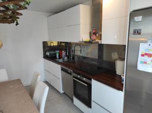 Η κουζίνα ή μικρή κουζίνα στο Privat apartment Bojan