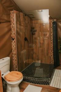 a bathroom with a shower with a toilet at Down-to-Earth Luxury Tented Accommodation in George