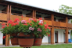 Zahrada ubytování Föveny Apartmanok