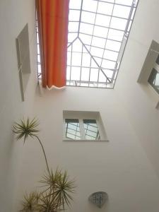 a skylight in a building with two potted plants at HOUSE Sevillana Parking in Seville