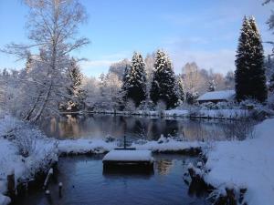 a pond covered in snow with trees in the background at Chalet au bord de l’eau in Saint-Quirin