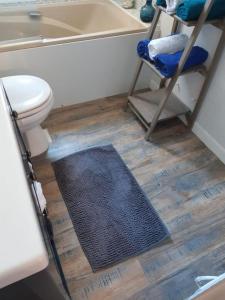 a bathroom with a toilet and a sink and a rug at Appartement Cosy à 20 mètres de la plage in Royan
