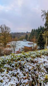 a snow covered field with plants and a body of water at Craigengillan Mini Lodge in Dalmellington