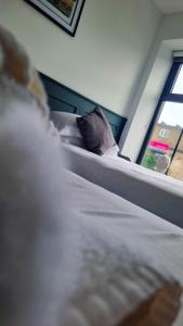 um quarto com uma cama e uma janela em The Friendship Hotel em Stocksbridge