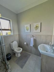 uma casa de banho com um WC e um lavatório em The Comfy Corner @ Skyfall Country Estate em Polokwane