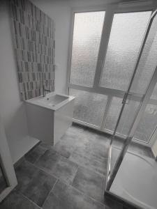 bagno con lavandino e doccia in vetro di Suite 2 lits Auberge du Manala Hôtel 24 24 proche Basel a Saint-Louis