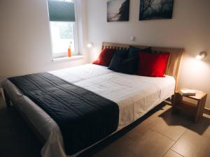 ein Schlafzimmer mit einem großen Bett mit roten Kissen in der Unterkunft Ferienwohnungen Parkstraße in Börgerende-Rethwisch