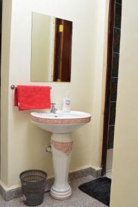 La salle de bains est pourvue d'un lavabo et d'un miroir. dans l'établissement Saas Homestay, à Eldoret