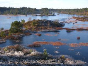 een eiland in het midden van een waterlichaam bij Family Apartment - Near Billund in Randbøldal