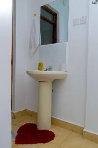 a bathroom with a sink and a mirror at Saas Homestay in Eldoret