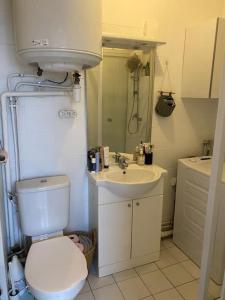 een kleine badkamer met een toilet en een wastafel bij Studio à 3 min du parc des Princes & Roland Garros in Parijs