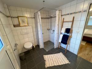 uma casa de banho com um chuveiro e um WC. em Appartement „Zum Weißen Hahn“ em Bad Zwischenahn