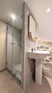 uma casa de banho com um lavatório e um chuveiro com um espelho. em Studio - Hyper Centre - Proche Gare em Verneuil d’Avre et d’Iton