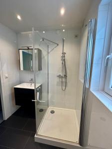 een badkamer met een douche en een wastafel bij Chateau Noordwijk in Noordwijk
