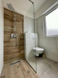 La salle de bains est pourvue d'une douche et de toilettes. dans l'établissement Villa Radozda, à Struga