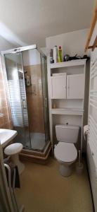 a bathroom with a shower and a white toilet at Résidence Les Tennis - 4 Pièces pour 8 Personnes 264 in Villard-de-Lans
