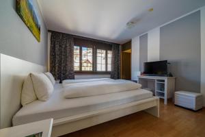 TV a/nebo společenská místnost v ubytování Hotel Toggenburg