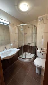 een badkamer met een douche, een wastafel en een toilet bij Апартаменти и стаи за гости "Алекс" in Pamporovo