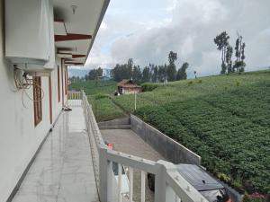 Zahrada ubytování AAA, Astungkara, Amazing Bromo Villa, Managed by Triple A Tour, Additional Bromo Jeep Tour and Airport Shuttle