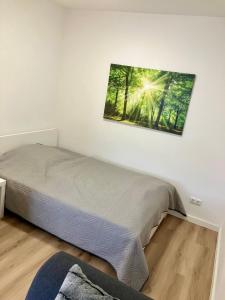 1 cama en una habitación con una foto en la pared en ZIMMERVERMIETUNG38 - Händel, en Salzgitter