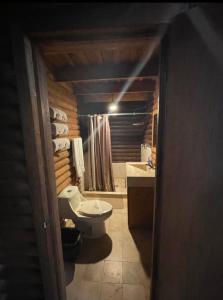 La salle de bains est pourvue de toilettes et d'un lavabo. dans l'établissement Cabaña sierra de lobos, à Las Palomas