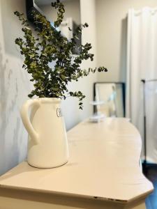 un vase blanc avec une plante sur un comptoir dans l'établissement Luxury King Bed Room Private Entry and Bathroom, à Lithonia